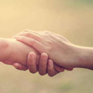 Donation